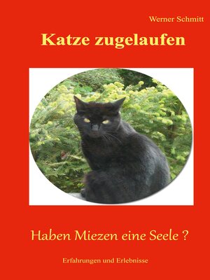 cover image of Katze zugelaufen: Haben Miezen eine Seele ?